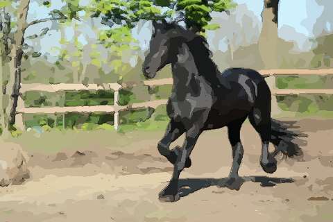 1978年多大2024年?78年出生属马人今年多大年龄