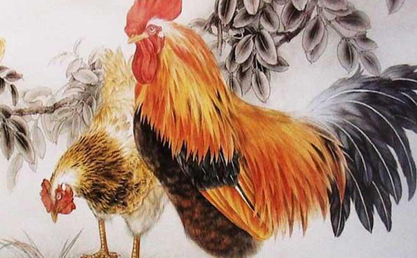 一鸣惊人是生肖鸡