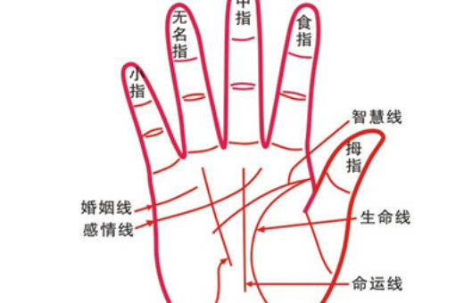 掌纹图解女右手详解