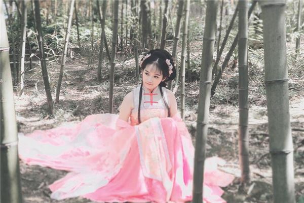 太阳打一生肖是什么