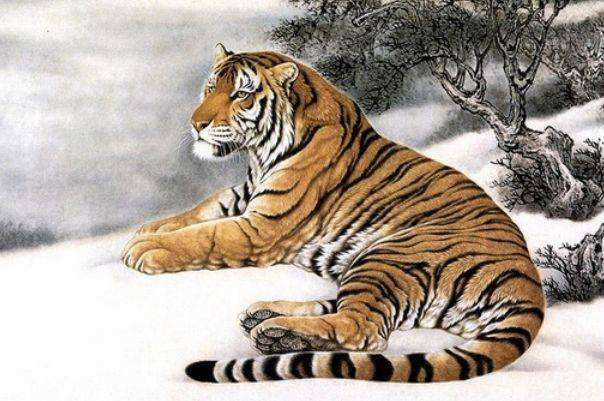 周姓女孩名字大全属虎