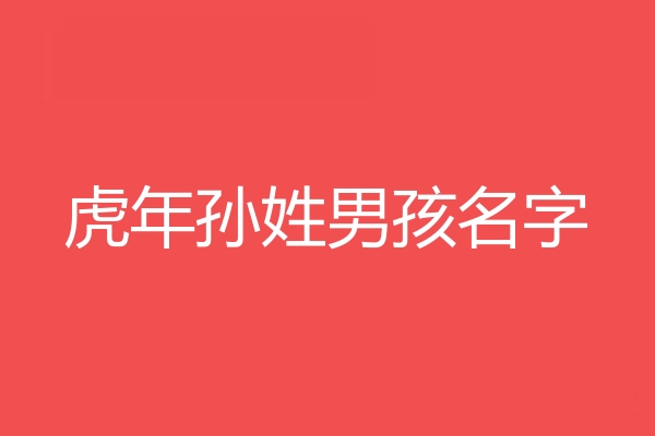 孙姓男孩名字