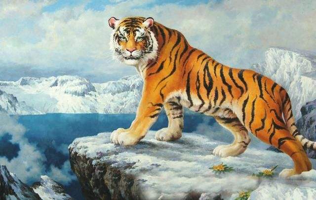 热血沸腾打一动物