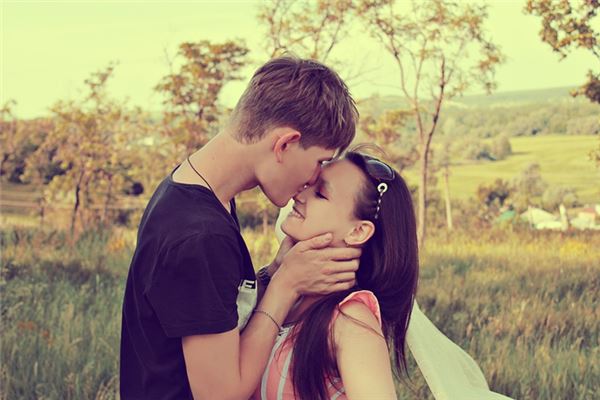 属猪和属虎的婚配好吗