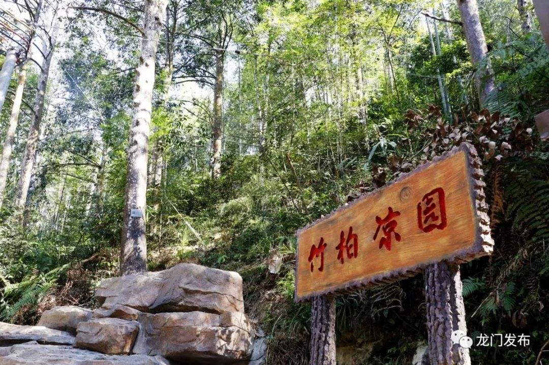 竹柏异心打一生肖