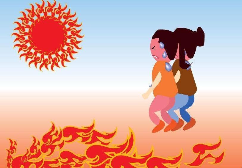 炙手可热的三大生肖