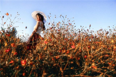 天秤座为什么会敷衍你2