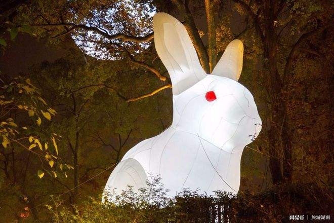 玉兔代表什么动物