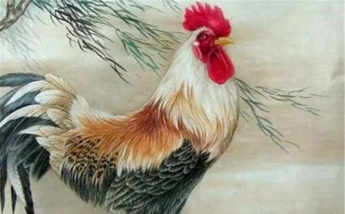 鸡和羊的属相合不合