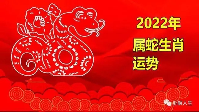 属蛇人2025年每月运程