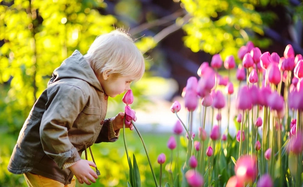 移花接木是指哪个生肖