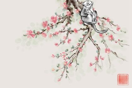 18岁属什么生肖的