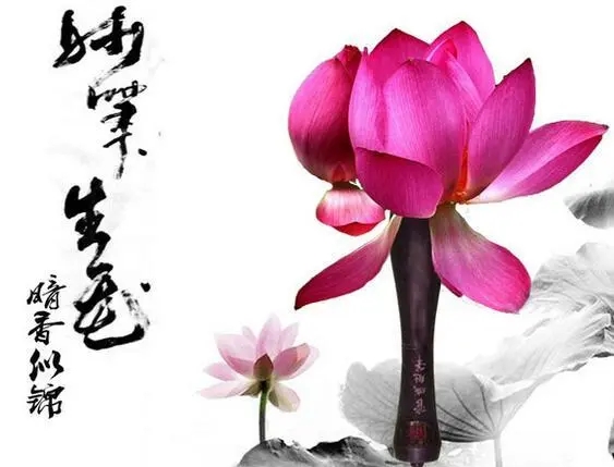 笔下生花打个生肖