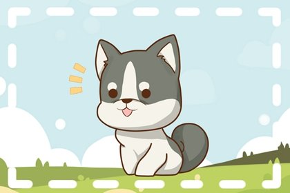 2025年属狗大忌颜色