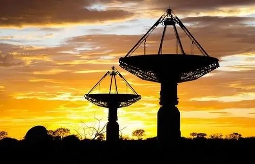 千真万确是什么生肖