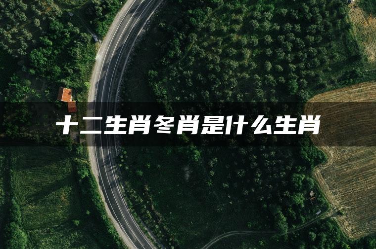 冬肖是哪几个生肖