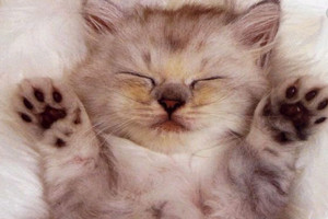 1648823058202275.jpg 1648008122591369111.jpg