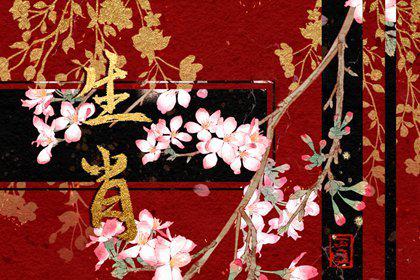 妙笔生花解一生肖或数字