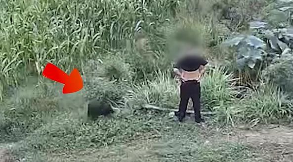 男子被恶狗咬伤后徒手将狗掐死