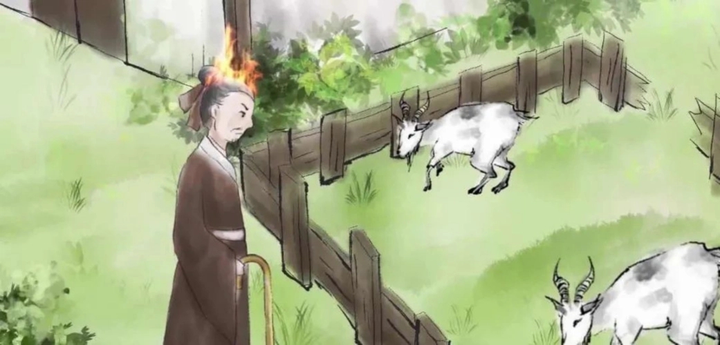 亡羊之叹是什么生肖