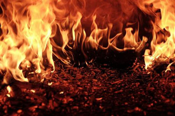 火肖是哪几个生肖