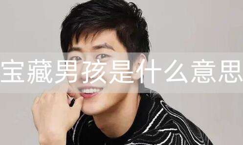 宝藏男孩是什么意思