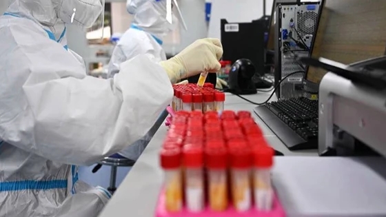 未做核酸却查到结果?内蒙古通报