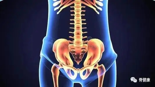 新研究称生育永久改变女性骨骼