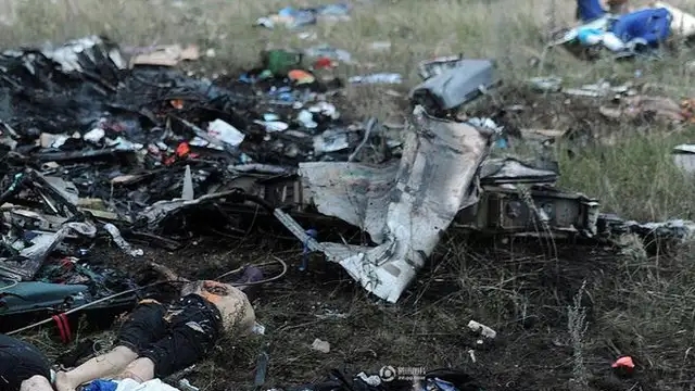 马航MH17坠机案3人被判无期徒刑