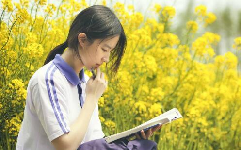 女生说你有毒机智回复2