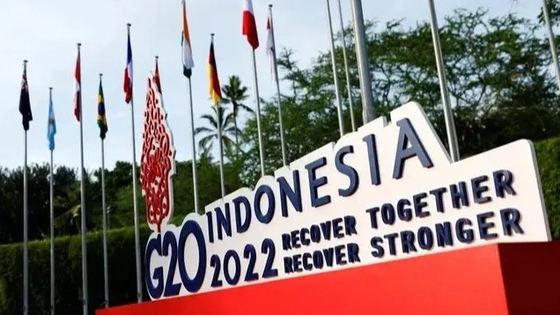 坚持以高质量发展为首要任务