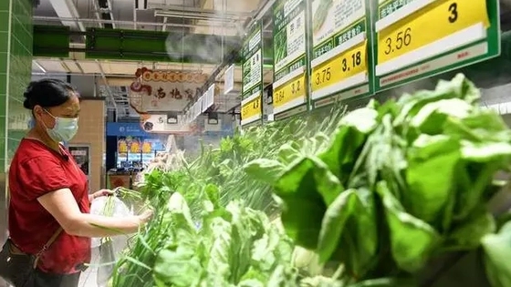 确保“菜篮子”拎得稳
