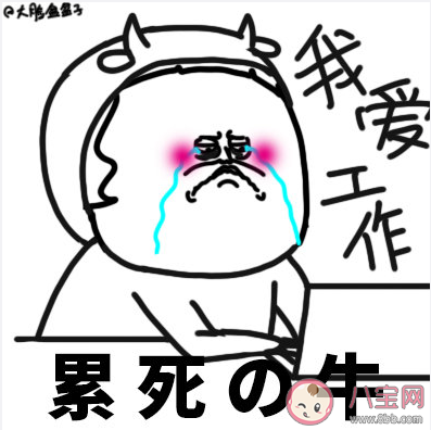 社畜有哪些分类 社畜定位分类