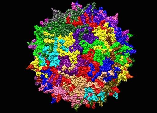 9个奥密克戎亚型毒株正在我国流行：这两个占绝对优势