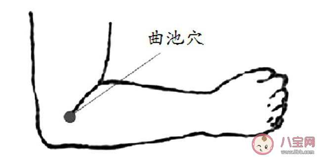 曲池穴位置怎么找 曲池穴准确位置图解