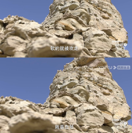 人生为什么要任尔东西南北风 任尔东西南北风的真正含义