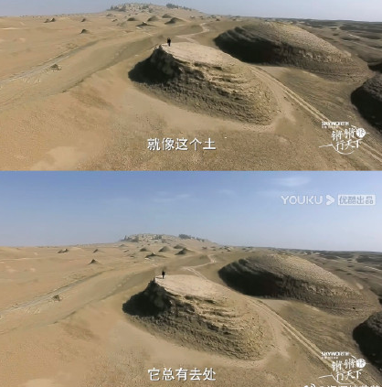 人生为什么要任尔东西南北风 任尔东西南北风的真正含义