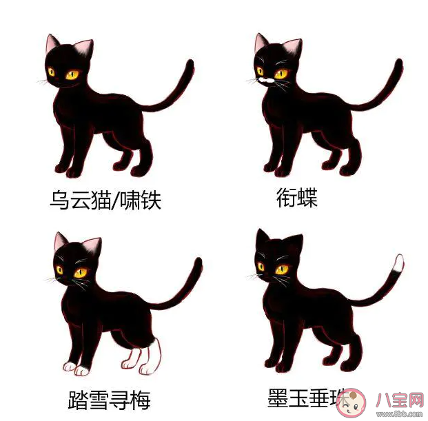 猫咪在古代的名字叫什么 古代猫咪的雅称