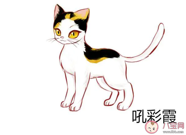 猫咪在古代的名字叫什么 古代猫咪的雅称