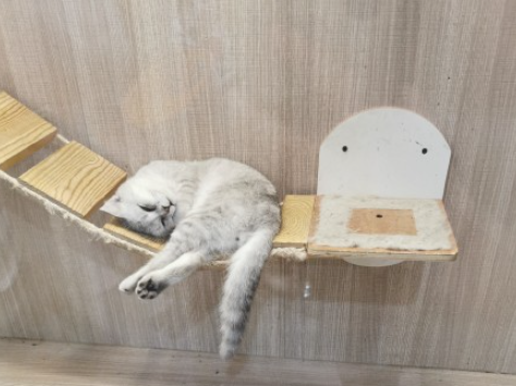 今夜失眠的心情图片发朋友圈说说 今晚睡不着失眠了图片说说