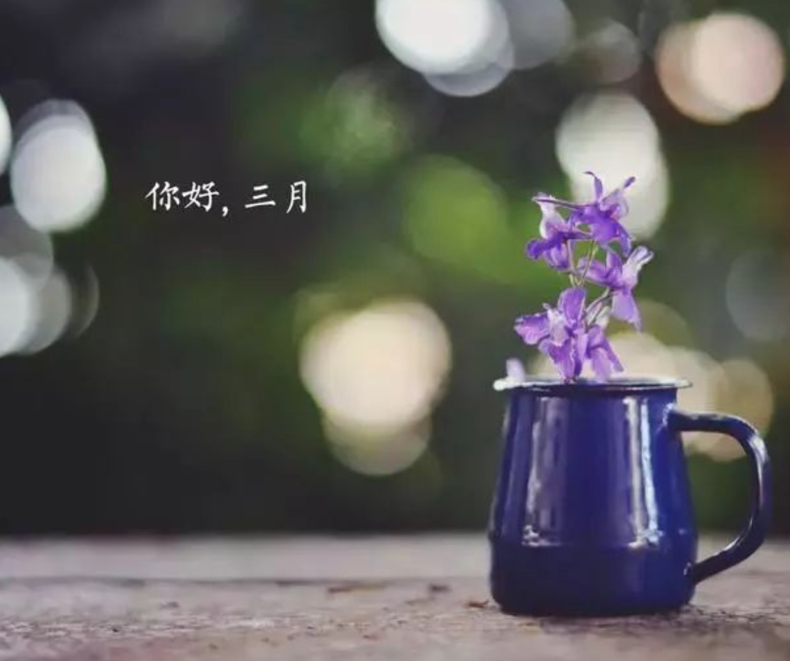 二月再见三月你好唯美朋友圈说说 迎接三月的好看图片大全