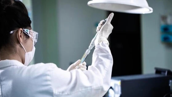 张文宏称抗病毒药一定要先用上