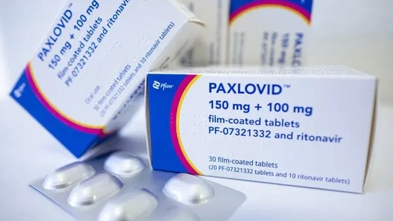 官方:辉瑞新冠药未能纳入医保目录