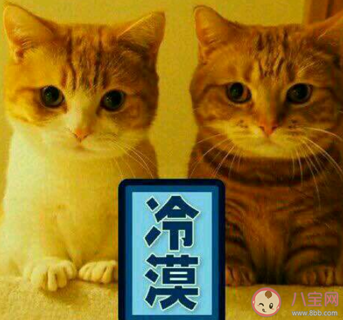 抖音ky是什么梗 ky是什么意思含义