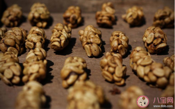 猫屎咖啡的制作流程是怎样的 猫屎咖啡味道怎么样