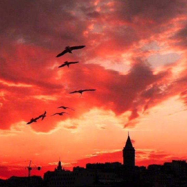 2020日落黄昏的唯美句子 黄昏很美的发朋友圈说说