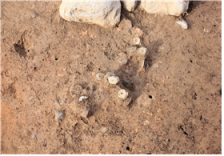 韩国宣布出土20枚中国宋代钱币 或将上述物品指定为文物