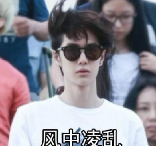 高冷本质是什么意思 高冷本质是什么梗