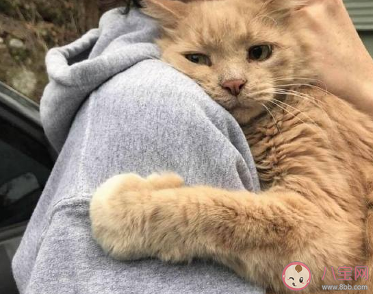 好想放假休息搞笑图片文案 好困想睡觉幽默朋友圈说说