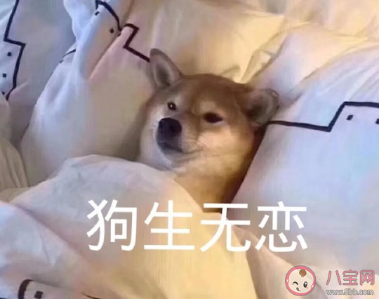 好想放假休息搞笑图片文案 好困想睡觉幽默朋友圈说说